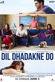 Dil Dhadakne Do (2015) afişi