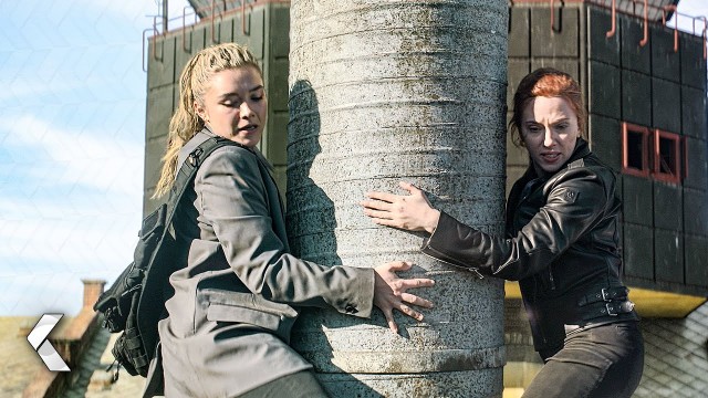 Black Widow Fotoğrafı