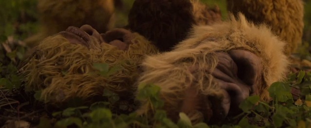 Love in the Time of Monsters Fotoğrafı