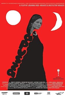 Taş Bebek (2013) afişi