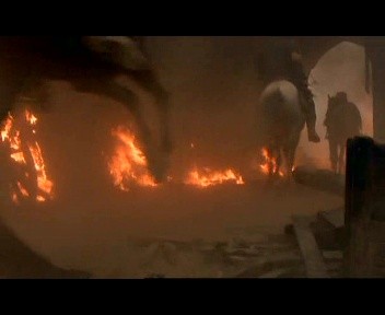 Çöl Kaplanı Fotoğrafı