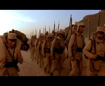 Çöl Kaplanı fotoğrafı