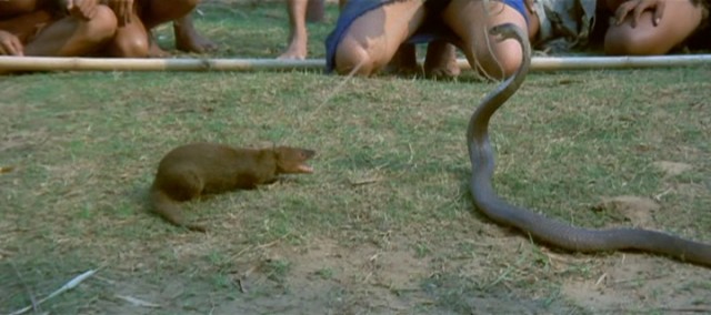 Derin Nehirden Gelen Adam fotoğrafı