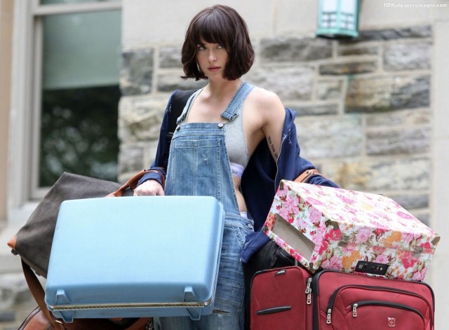 Bekar Yaşam Kılavuzu Fotoğrafı