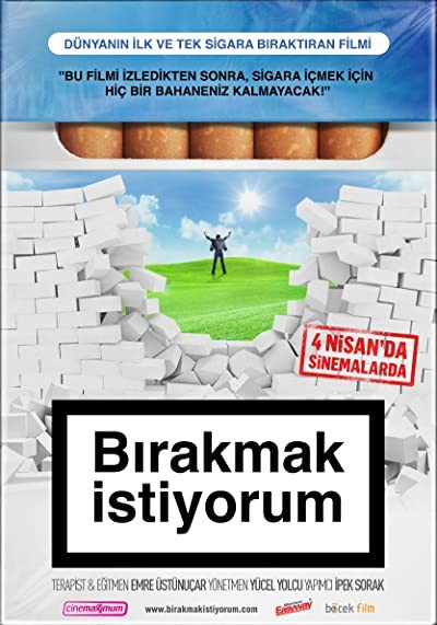 Bırakmak İstiyorum (2014) afişi