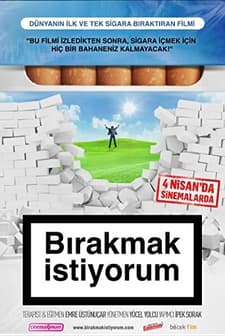 Bırakmak İstiyorum (2014) afişi