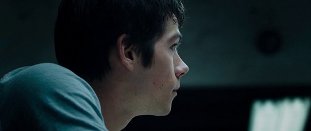 Labirent: Alev Deneyleri fotoğrafı