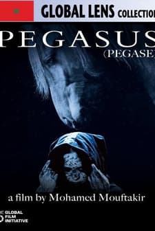 Pegasus (2010) afişi