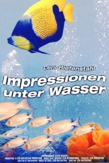 Impressionen unter Wasser (2002) afişi