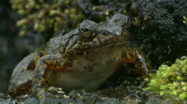 Madagaskar Fotoğrafı