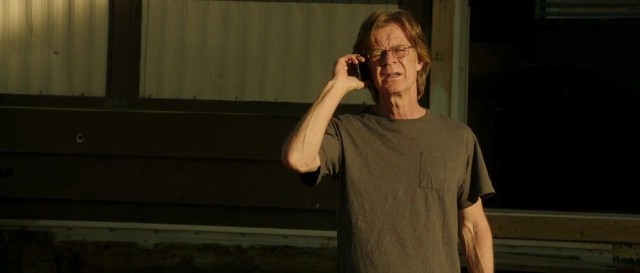 Kan Bağı Fotoğrafı