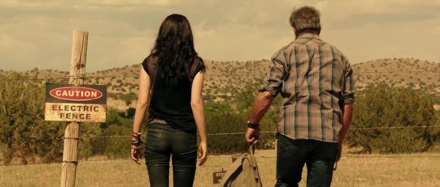 Kan Bağı Fotoğrafı