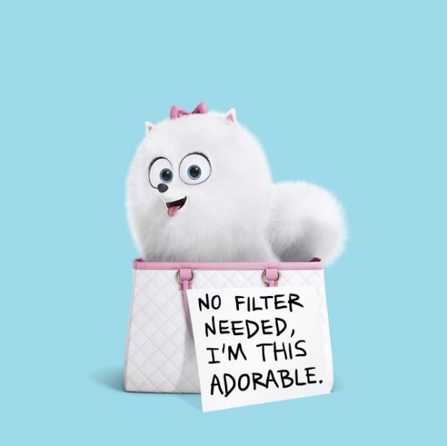 Evcil Hayvanların Gizli Yaşamı Fotoğrafı