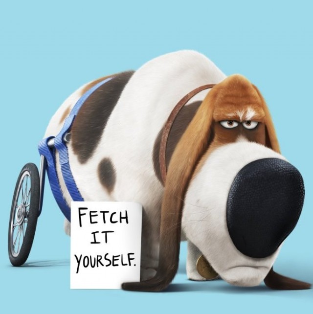 Evcil Hayvanların Gizli Yaşamı Fotoğrafı