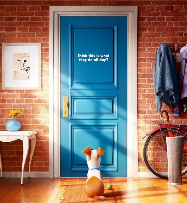 Evcil Hayvanların Gizli Yaşamı Fotoğrafı