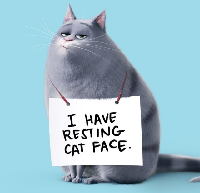 Evcil Hayvanların Gizli Yaşamı Fotoğrafı