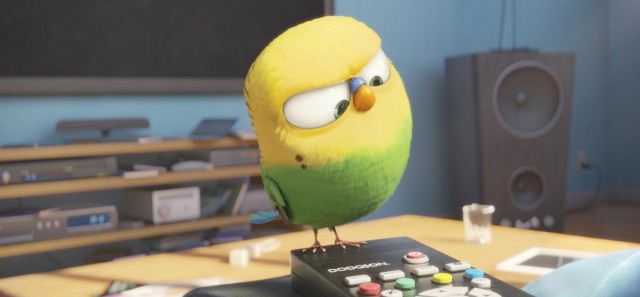 Evcil Hayvanların Gizli Yaşamı Fotoğrafı