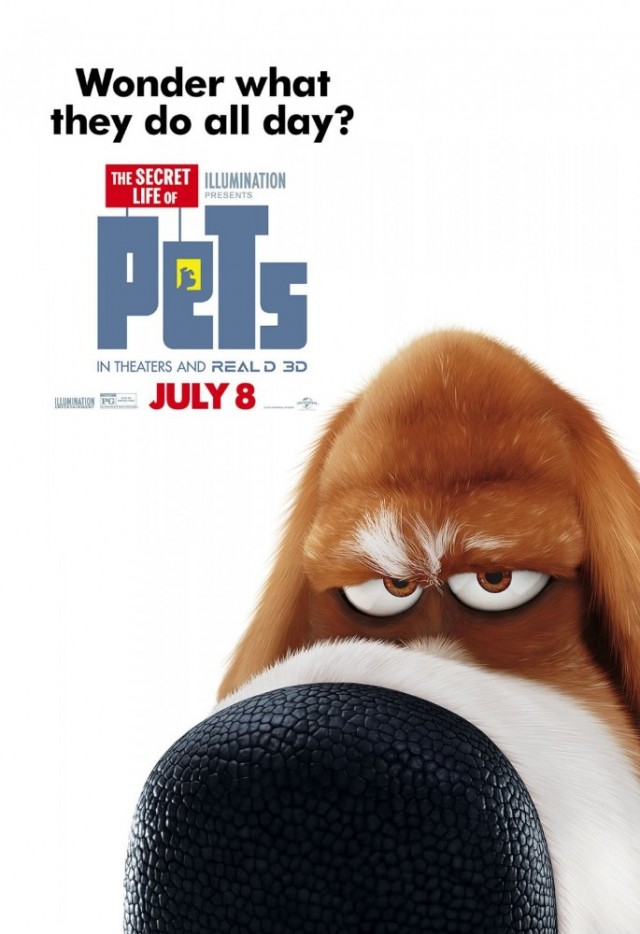 Evcil Hayvanların Gizli Yaşamı Fotoğrafı