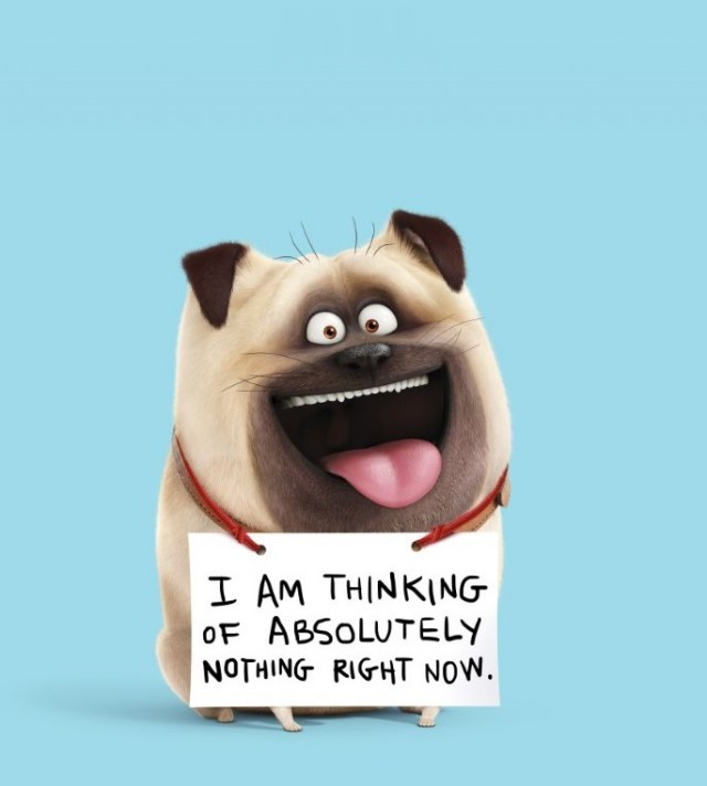 Evcil Hayvanların Gizli Yaşamı Fotoğrafı