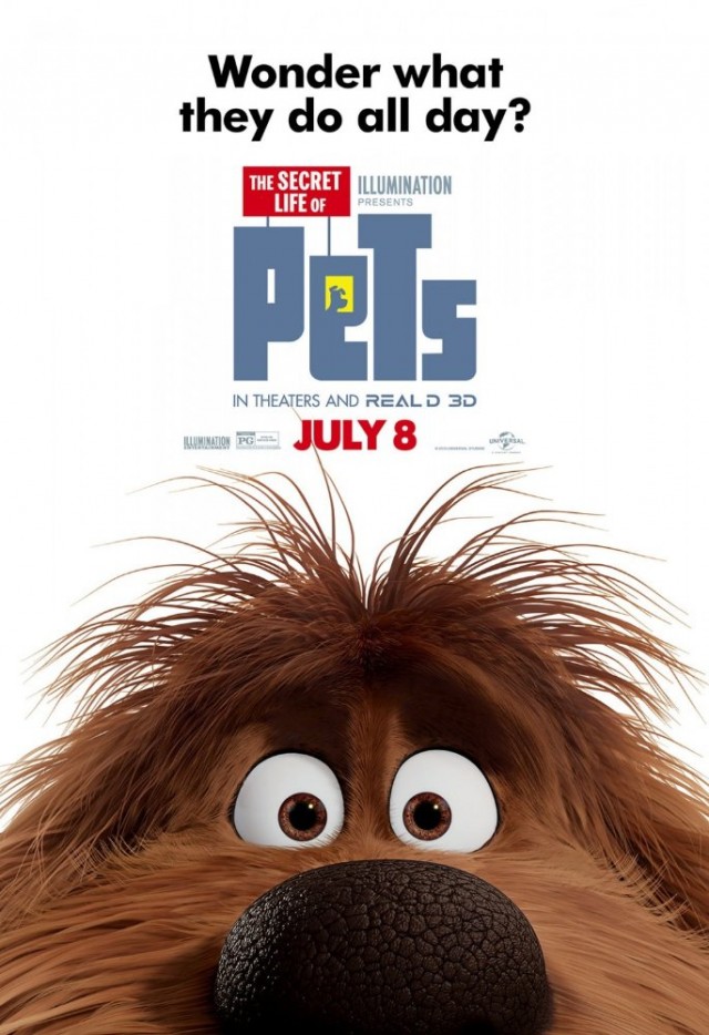 Evcil Hayvanların Gizli Yaşamı Fotoğrafı