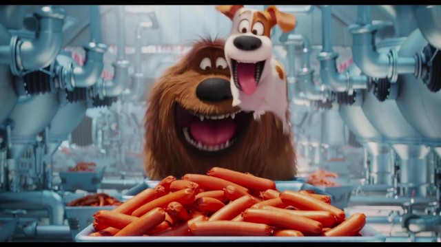 Evcil Hayvanların Gizli Yaşamı Fotoğrafı