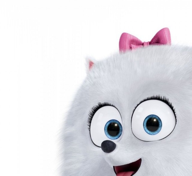 Evcil Hayvanların Gizli Yaşamı Fotoğrafı