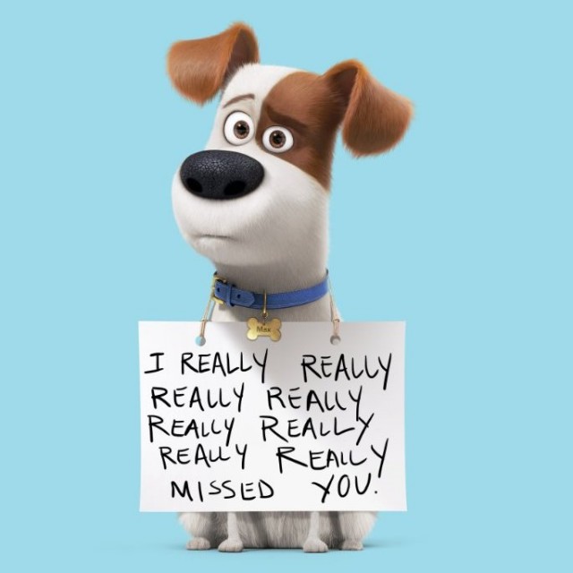 Evcil Hayvanların Gizli Yaşamı Fotoğrafı