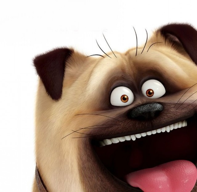 Evcil Hayvanların Gizli Yaşamı fotoğrafı