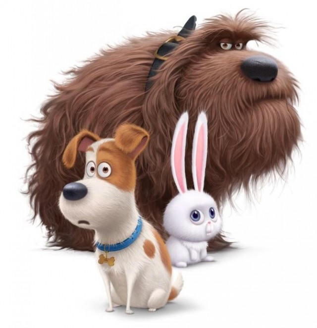 Evcil Hayvanların Gizli Yaşamı fotoğrafı