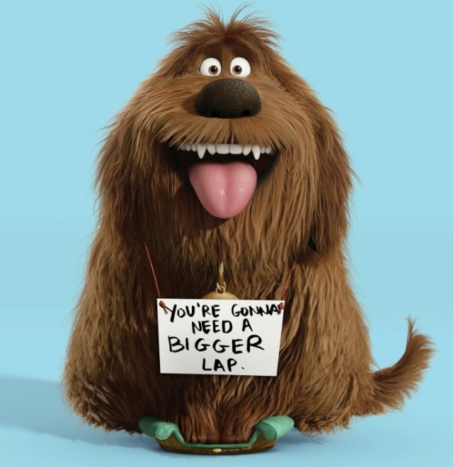 Evcil Hayvanların Gizli Yaşamı Fotoğrafı