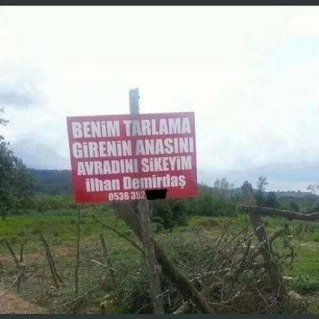 Şipşak Anadolu fotoğrafı