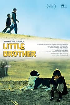 Little Brother (2013) afişi