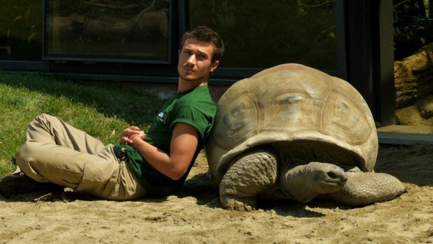 La luna su Torino Fotoğrafı