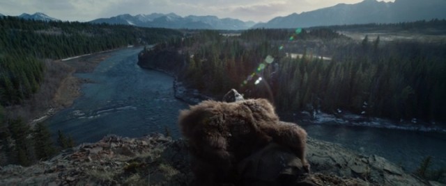 Diriliş Fotoğrafı