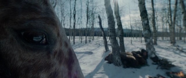 Diriliş Fotoğrafı