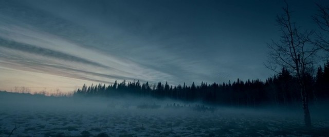 Diriliş Fotoğrafı