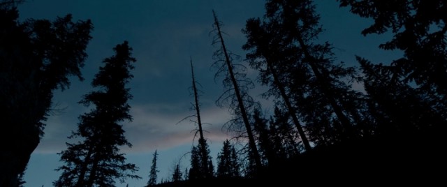 Diriliş Fotoğrafı