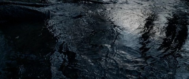 Diriliş Fotoğrafı