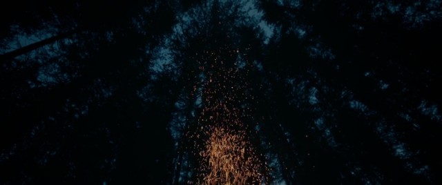 Diriliş Fotoğrafı