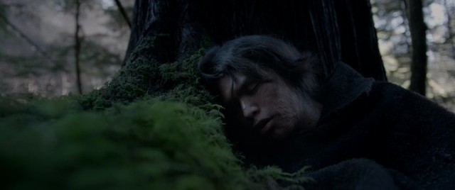 Diriliş Fotoğrafı