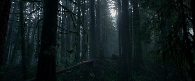 Diriliş Fotoğrafı