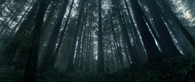 Diriliş Fotoğrafı