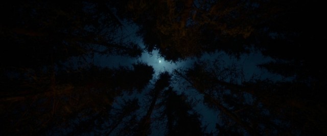 Diriliş Fotoğrafı