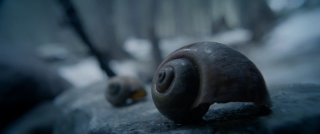 Diriliş Fotoğrafı