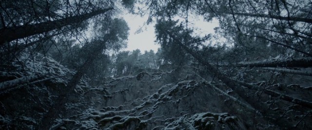 Diriliş Fotoğrafı