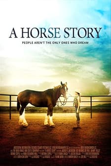A Horse Story (2016) afişi