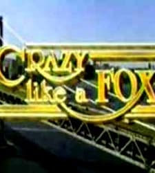 Crazy Like a Fox Sezon 1 (1984) afişi