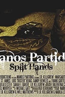 Manos Partidas (2008) afişi