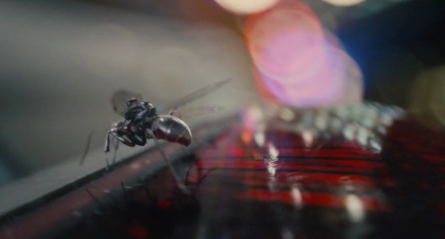 Ant-Man Fotoğrafı