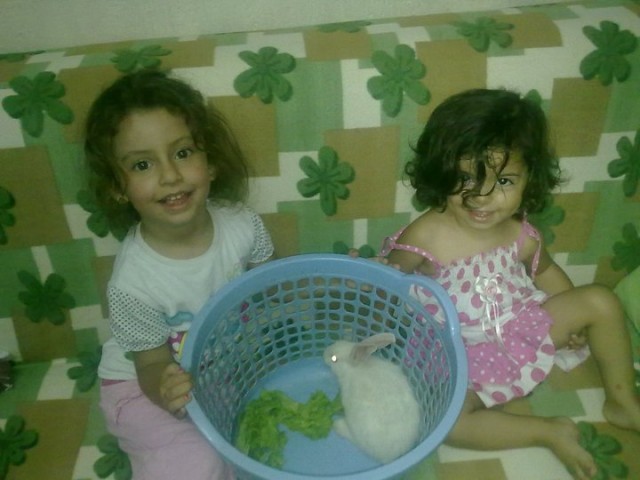 Barbie ve Sihirli Dünyası fotoğrafı